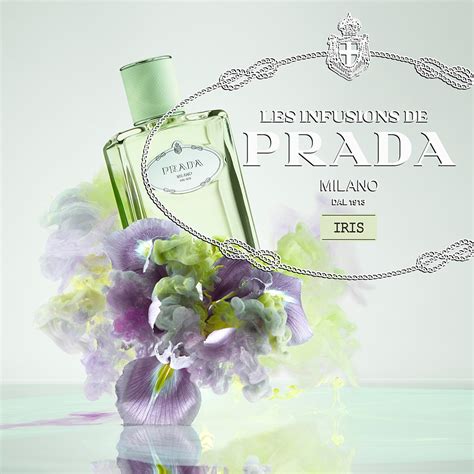 prada infusion d iris douglas